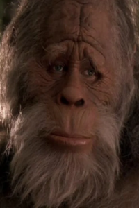 Harry and the Hendersons